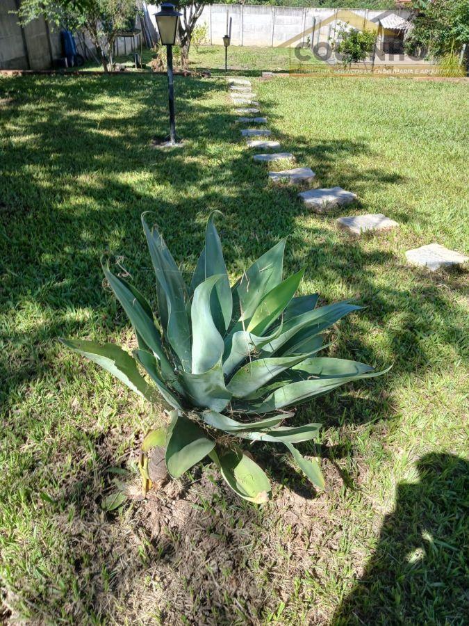 WhatsApp Image 2025-02-14 at 16.11.55 (3).jpeg